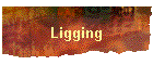 Ligging