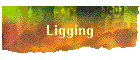 Ligging