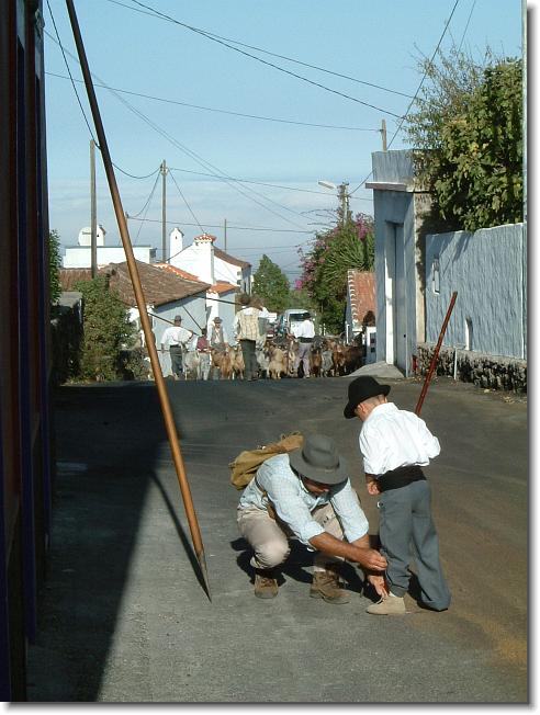 Volgende foto
