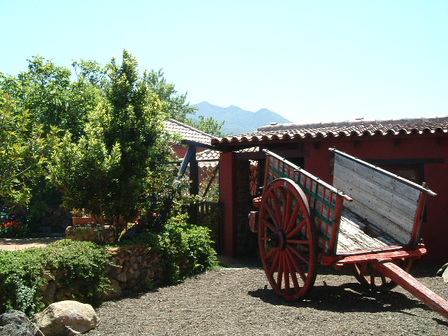 La Centenaria20