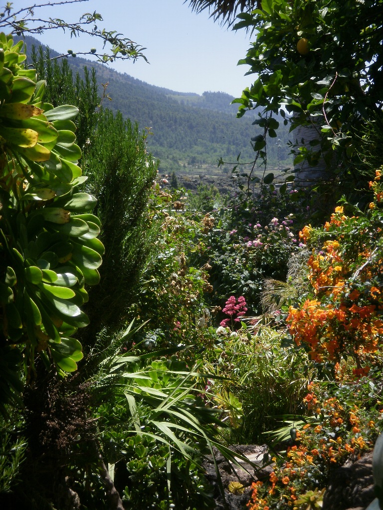 La Centenaria32