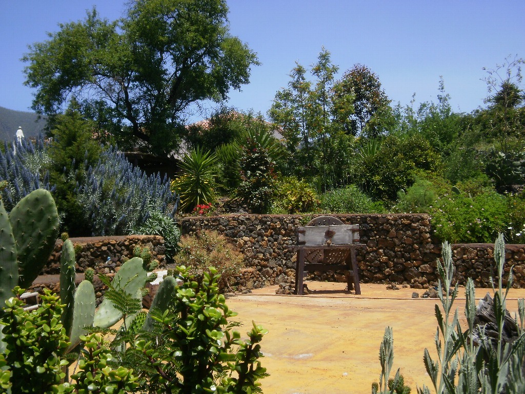 La Centenaria41