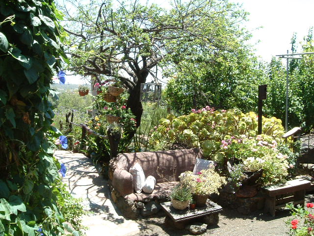 La Centenaria11