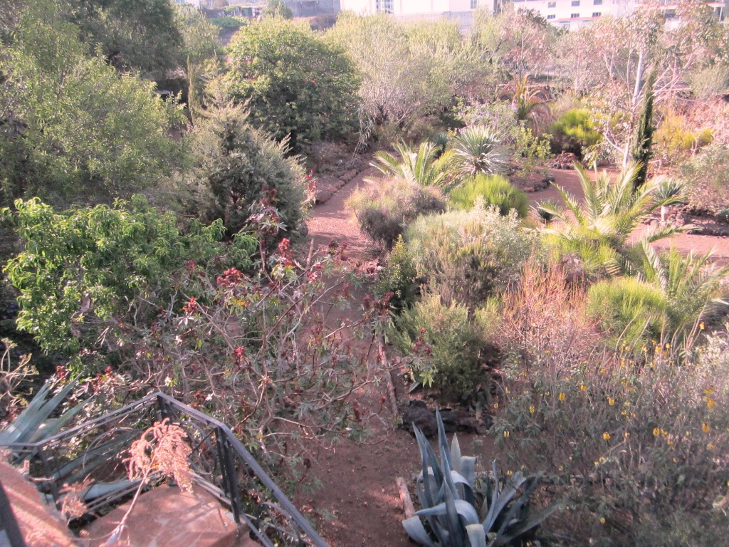 La Centenaria42