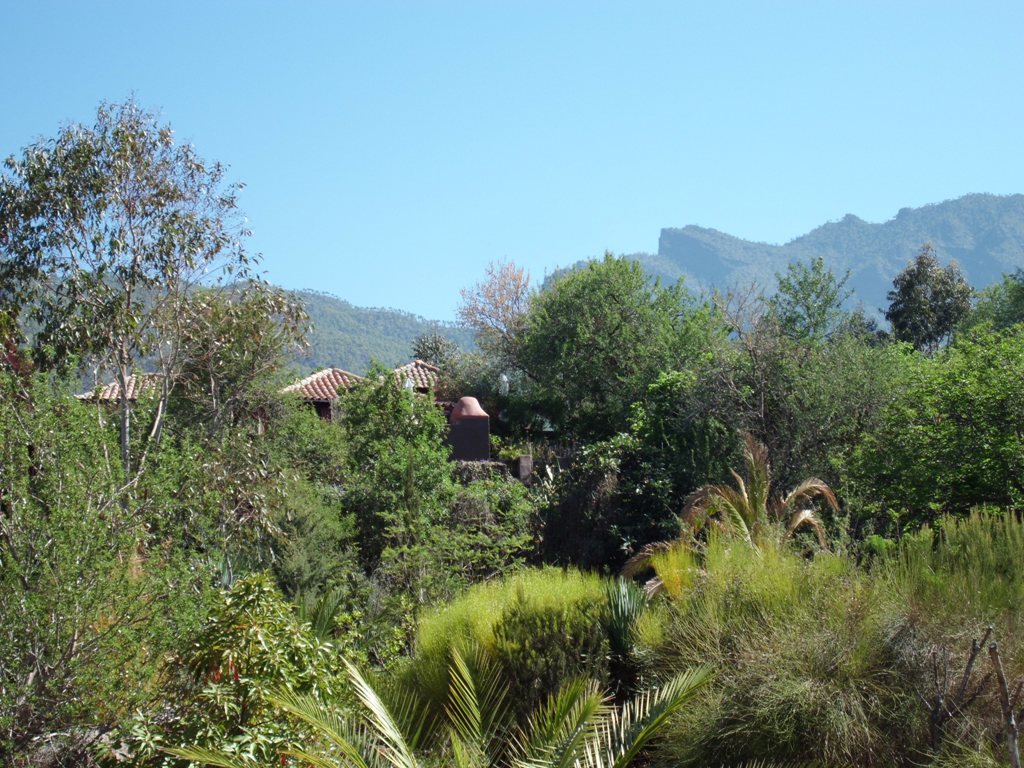 La Centenaria43
