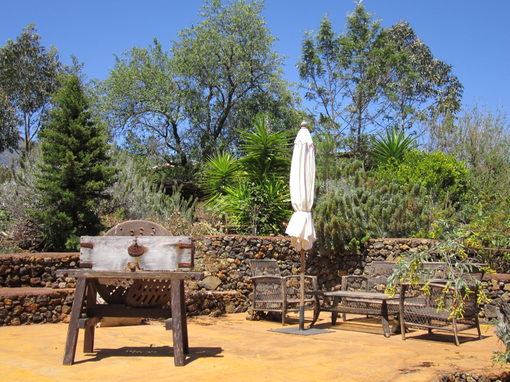 La Centenaria37