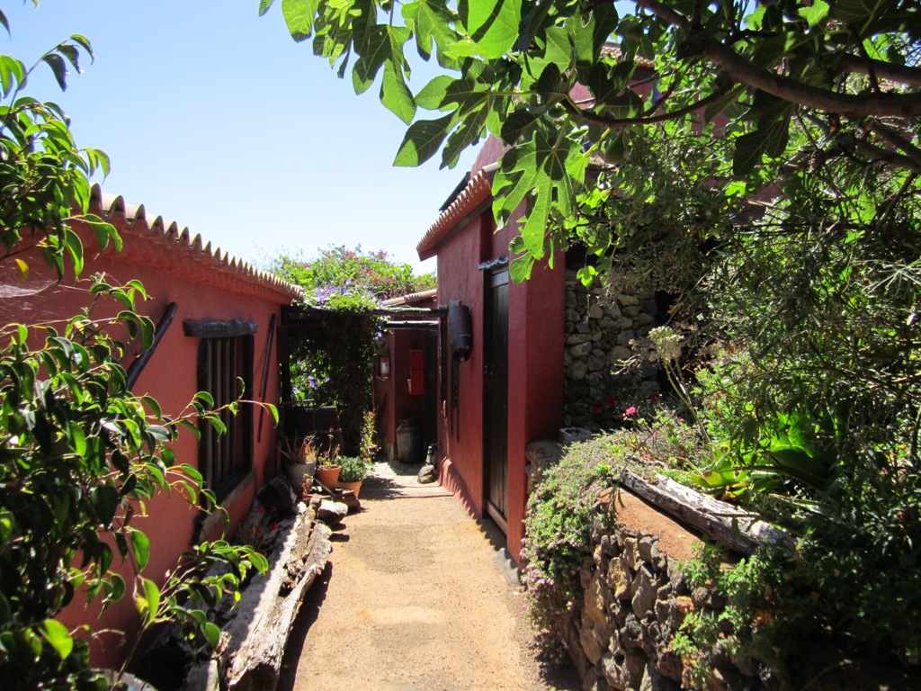La Centenaria35