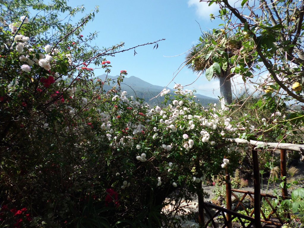 La Centenaria27