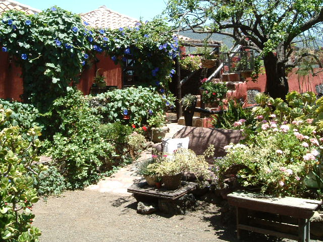 La Centenaria51