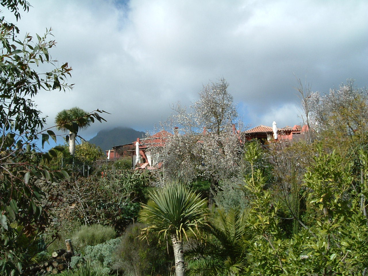 La Centenaria03