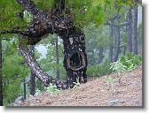LaPalma024